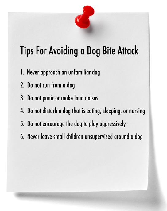 Tips for Avoiding a Dog Bite Attack by the CDC